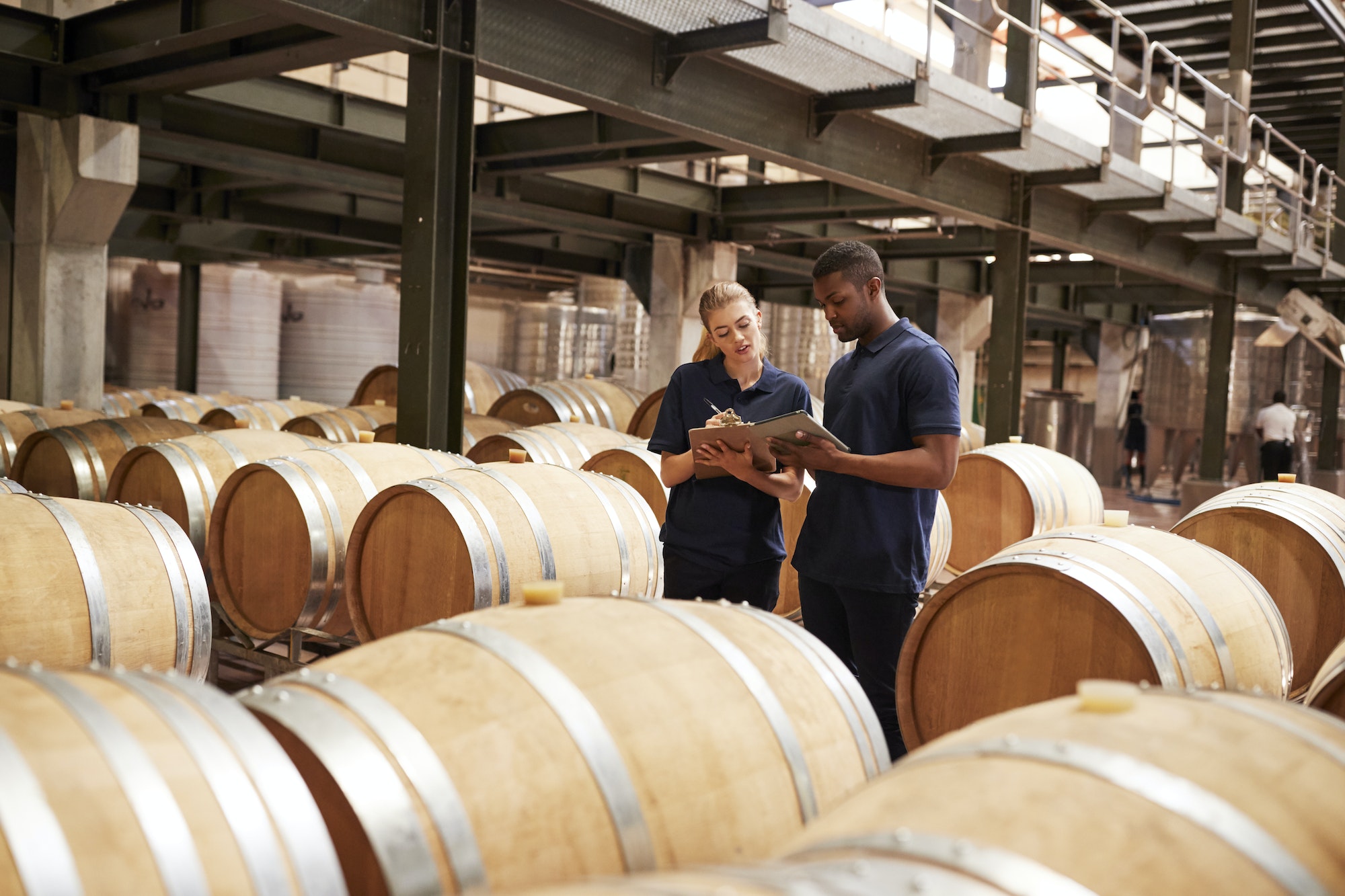 Two staff inspecting barrels in a wine factory warehouse
